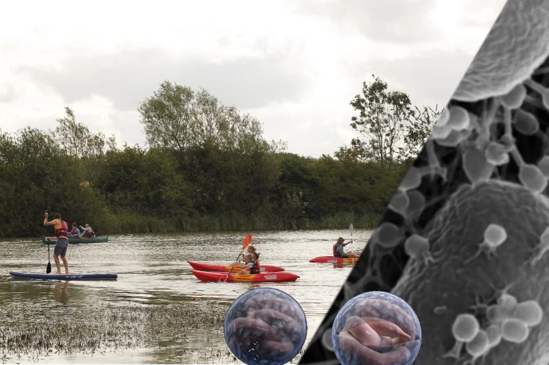 Kayakers on a river, overlaid with microscope imagery of waterborne bacteria